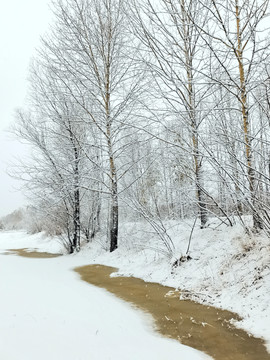 阳春白雪