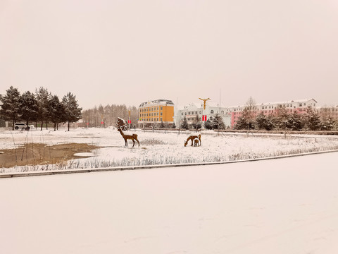 阳春白雪