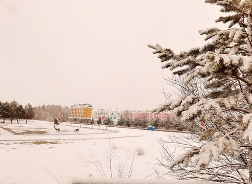 阳春白雪