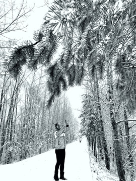 阳春白雪