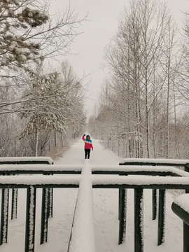 阳春白雪