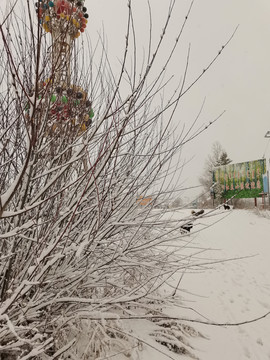 阳春白雪