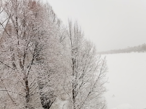 阳春白雪