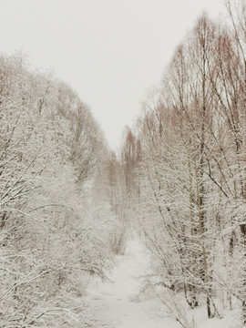 阳春白雪