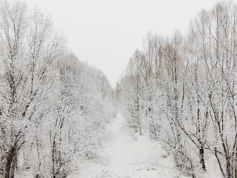 阳春白雪