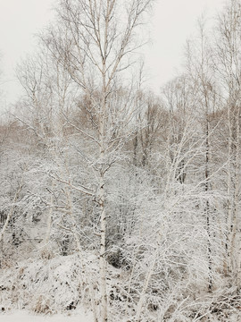 阳春白雪