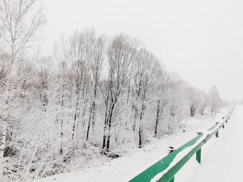 阳春白雪