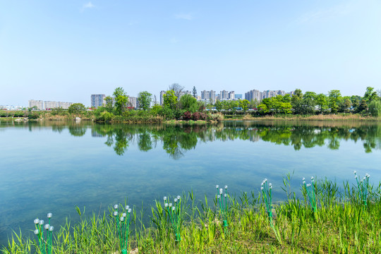 成都锦城湖公园湖景