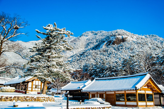 韩式建筑物雪景