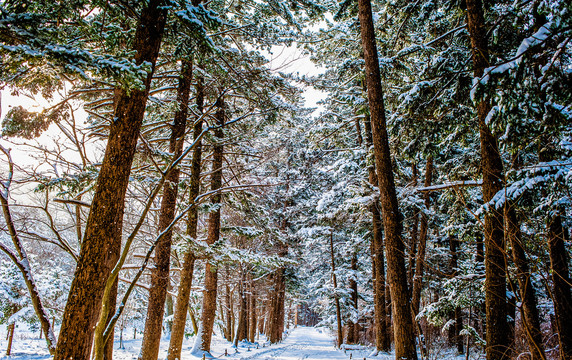 韩式建筑物雪景