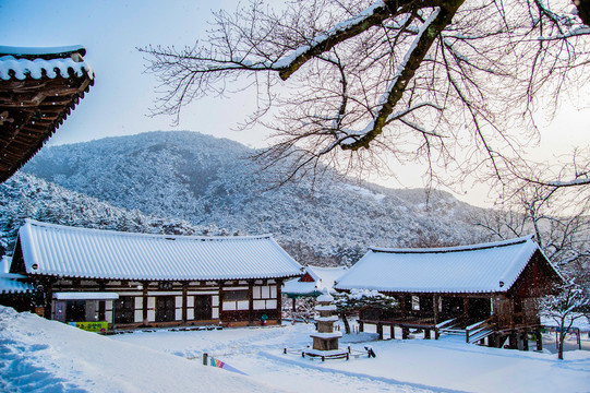 韩式建筑物雪景