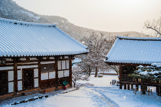 韩式建筑物雪景