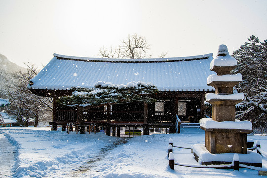 韩式建筑物雪景