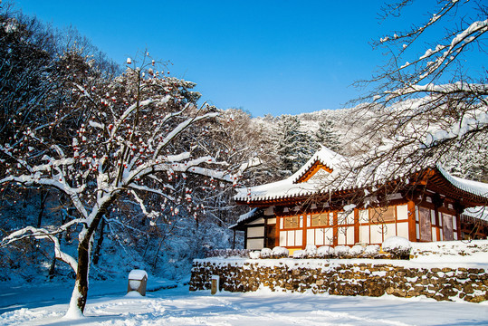 韩式建筑物雪景