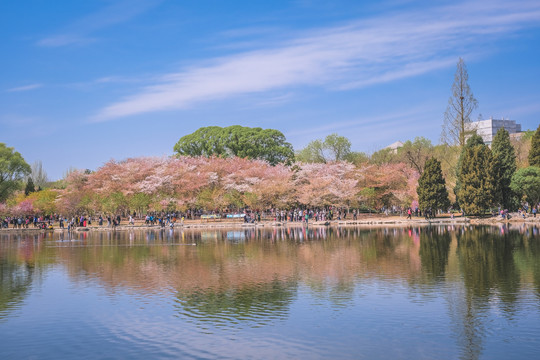 北京玉渊潭公园