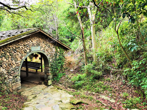 林间小屋