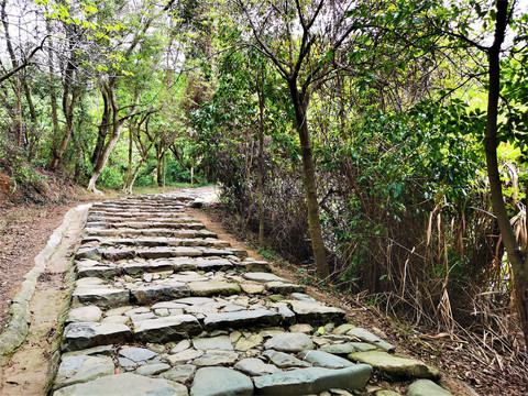 石板碎石小路