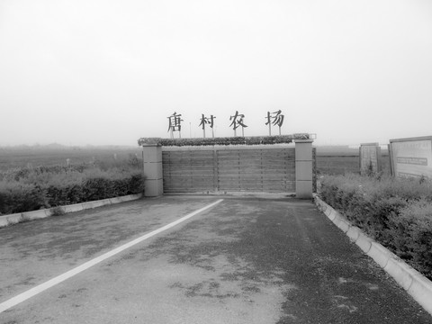 唐村农场