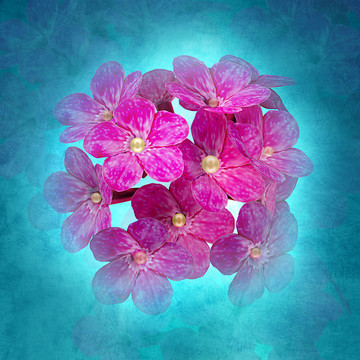 數(shù)碼印花