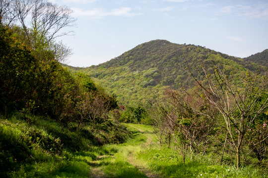 山间林道