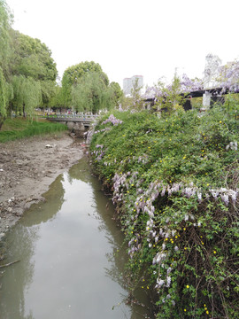 小溪岸边