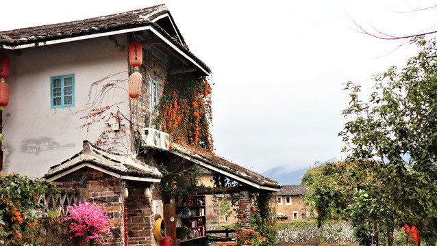 農家小院