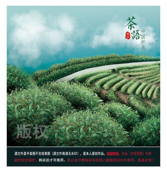 茶園圖片