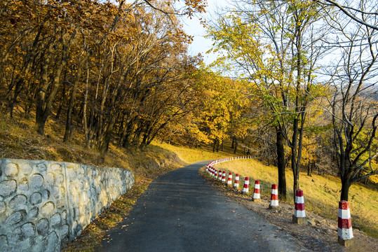 公园小路