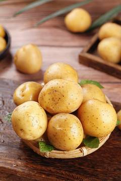 马尔科小土豆