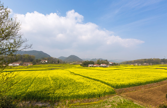 田园风光