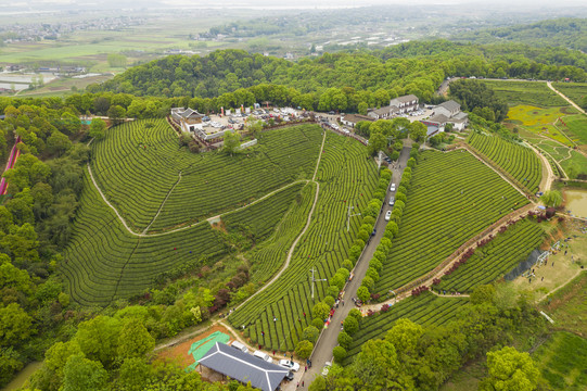 航拍茶山风光