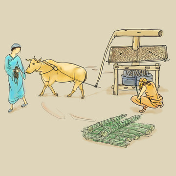 牛拉石盤壓榨甘蔗