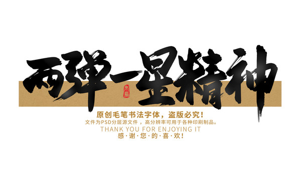 兩彈一星精神