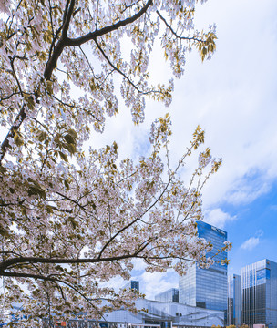 花下阪急