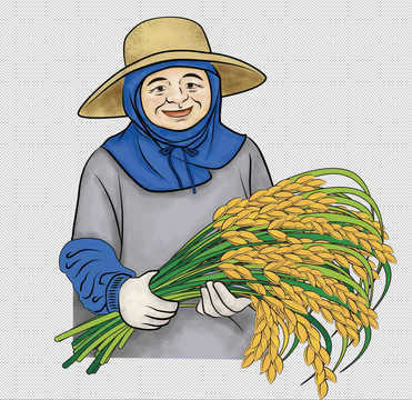 农妇妇人农民抱着水稻的老太太