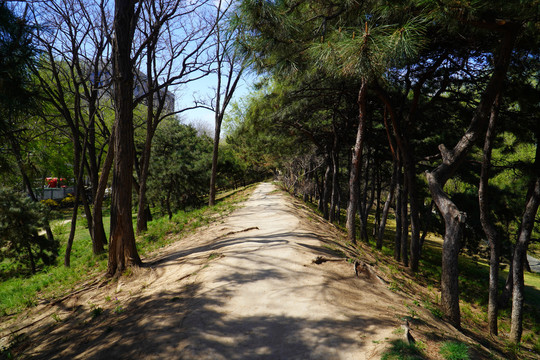 元大都城垣遗址公园海棠花溪