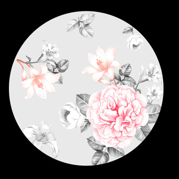 黑粉花