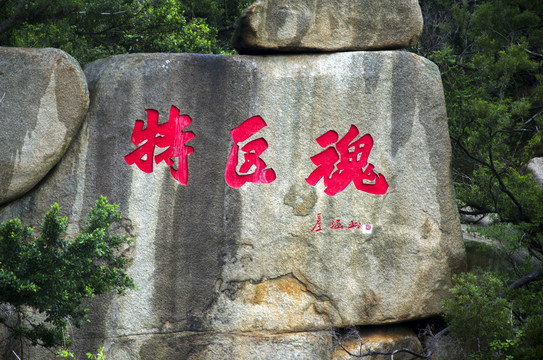 珠海特区魂石刻