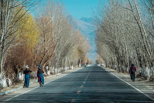 西藏公路