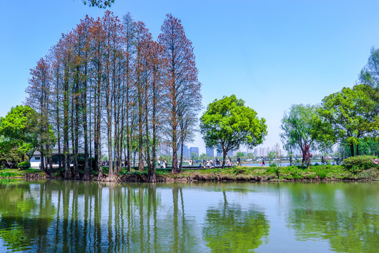 山水风景