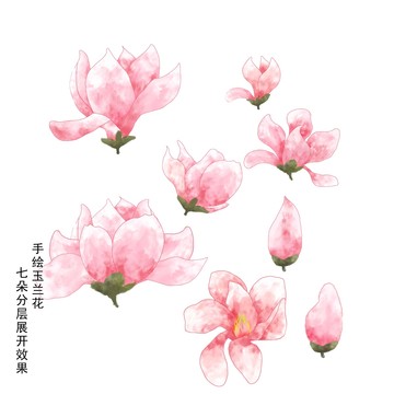 水彩玉蘭花