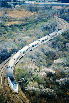 居庸關(guān)花海列車(chē)