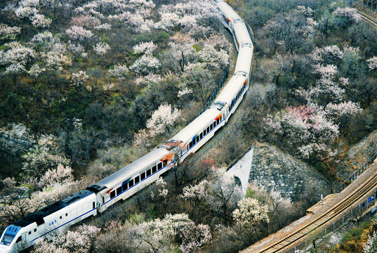 居庸关花海列车