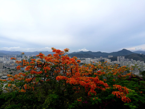 山顶花园