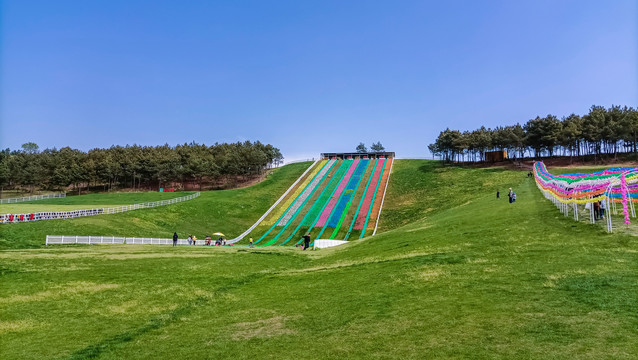 飞鸿滑草场