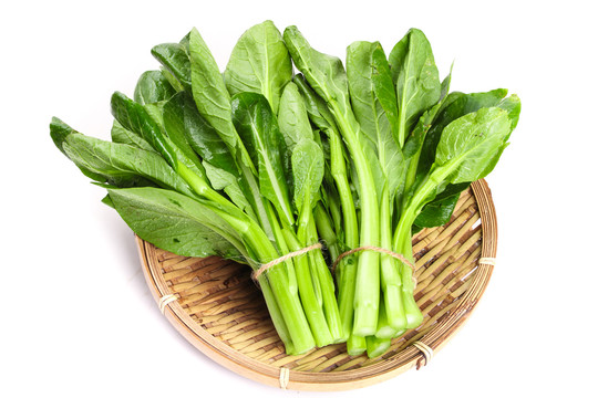 農家菜苔
