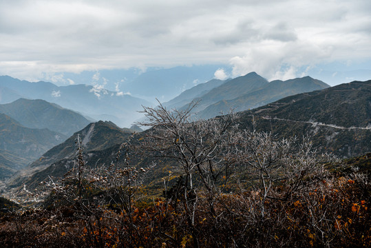 牛背山云海