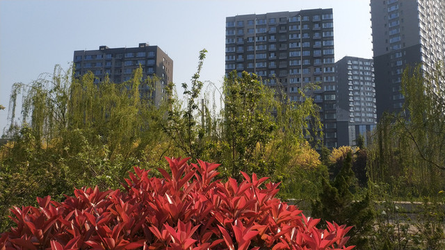 城市风景