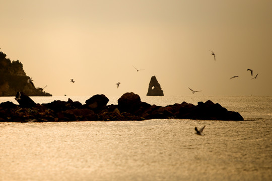 海滩风景