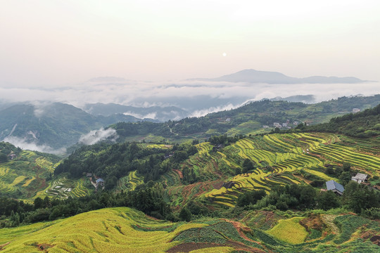 山背梯田